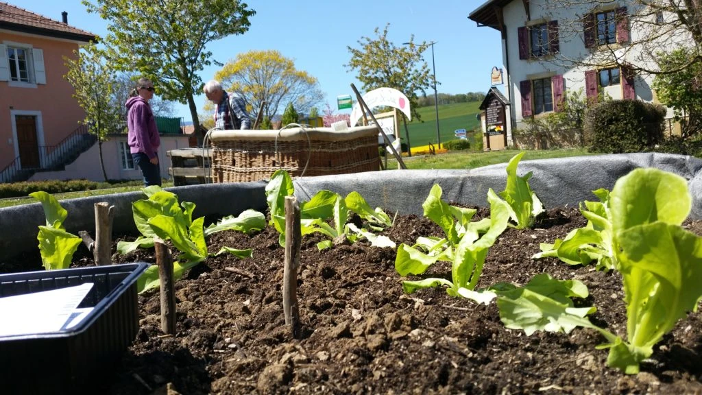 Le Jardin se crée