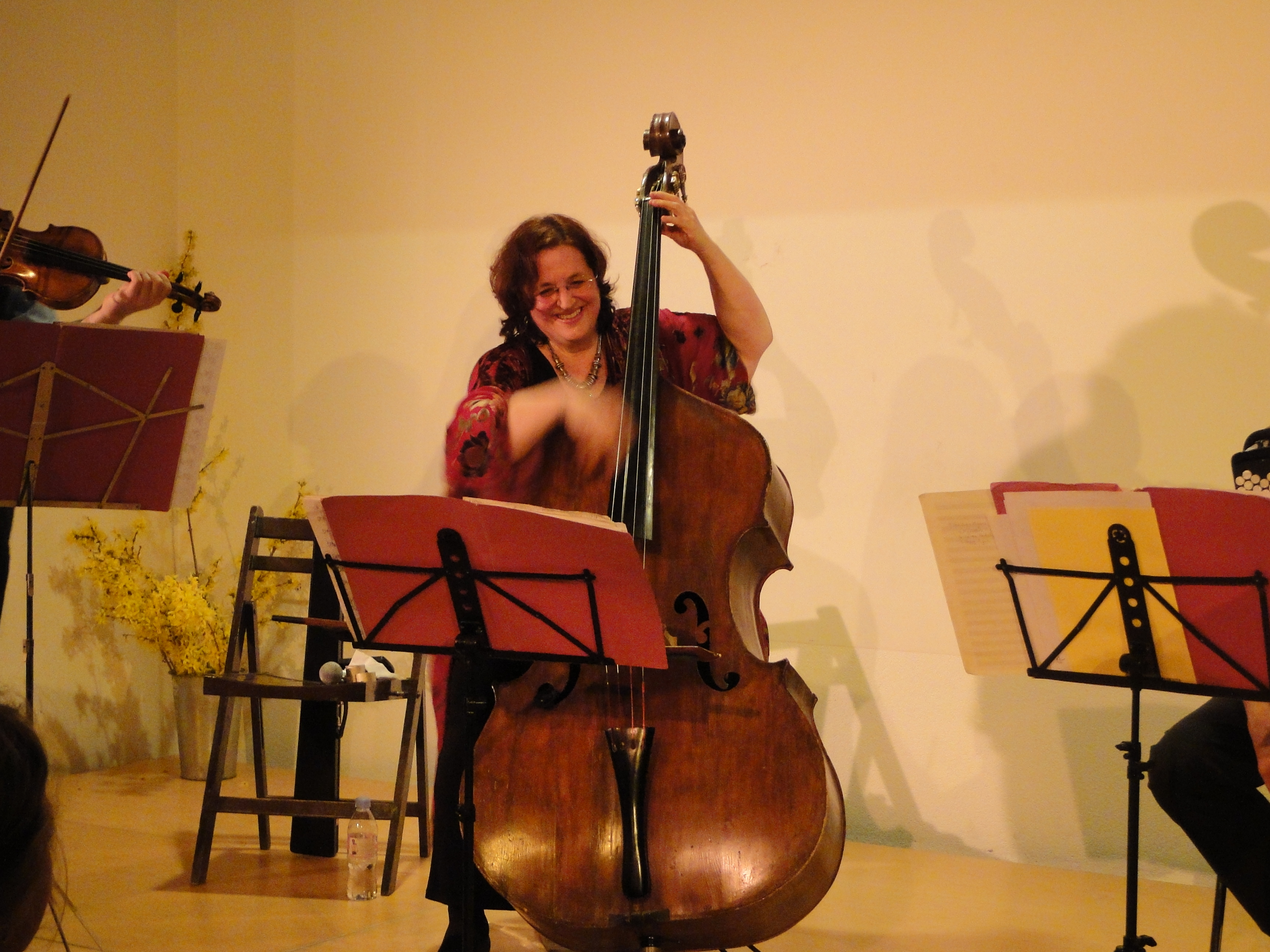 A la contrebasse: Clena Stein